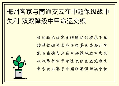 梅州客家与南通支云在中超保级战中失利 双双降级中甲命运交织